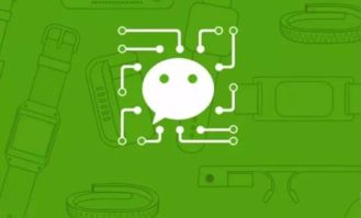 裂变是小程序江湖的核心技能 揭秘网络技术领域的主流打法