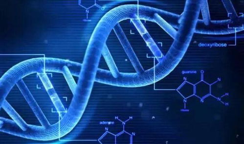 共筑蓝海，智创未来 小天使控股集团以网络技术赋能大健康产业创新